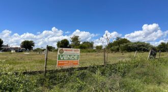 LOTEO EN ZONA CENTRO RECREATIVO COLONIA PERFECCION NORTE