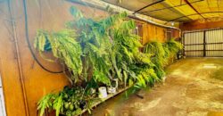 VENTA PROPIEDAD ZONA MONUMENTO