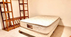 DEPARTAMENTO CENTRICO